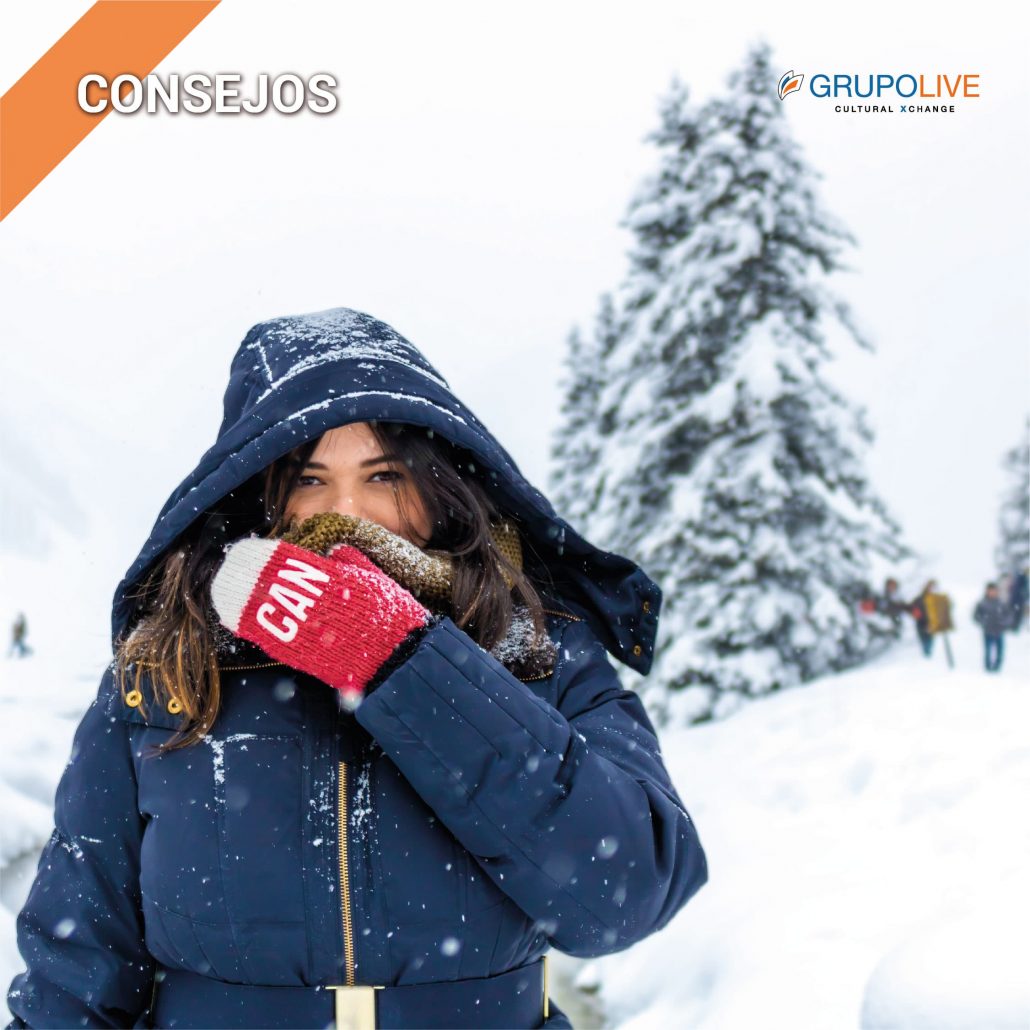 Ropa Para Ir A La Nieve Mujer